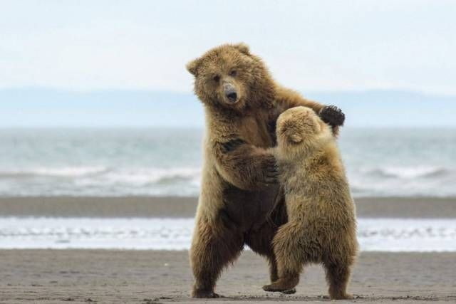 Подборка прикольных фотографий (113 фото)