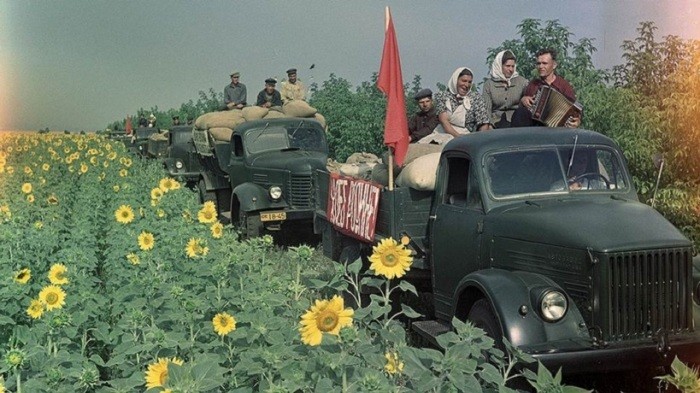 Труженики СССР (12 фото)