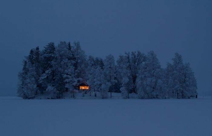 Снимки, на которых нет ничего лишнего (20 фото)