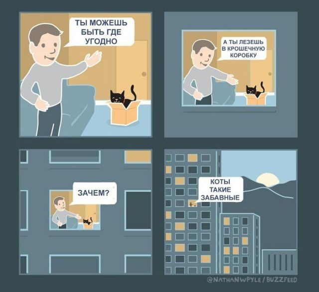 Смешные комиксы (20 фото)