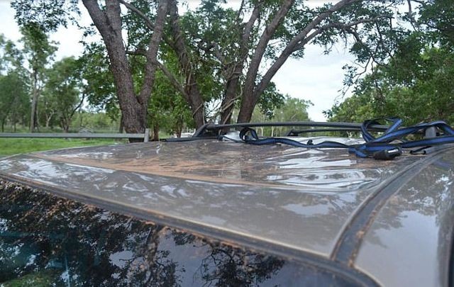 Туристы провели ночь на крыше авто, спасаясь от крокодилов (4 фото)