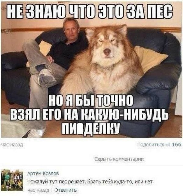 Смешные комментарии из социальных сетей (116 фото)