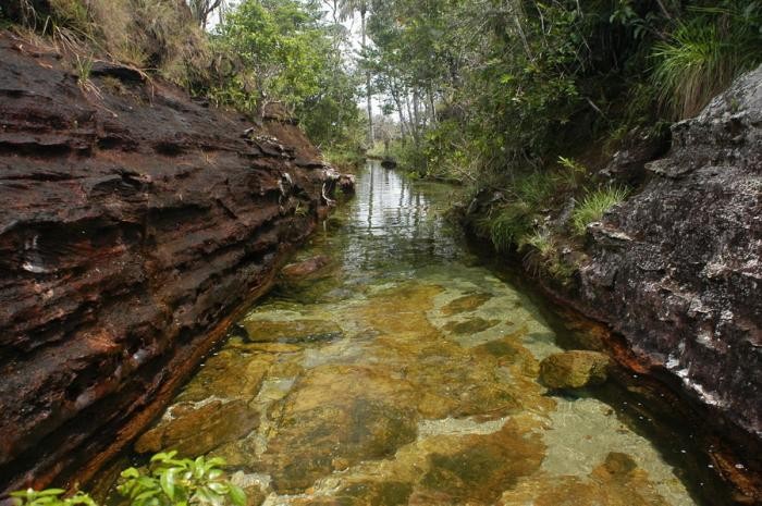 Каньо-Кристалес — самая красивая река на Земле (38 фото)