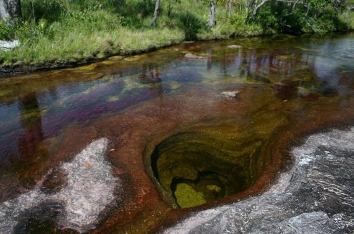 Каньо-Кристалес — самая красивая река на Земле (38 фото)