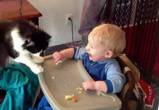 Подборка прикольных гифок