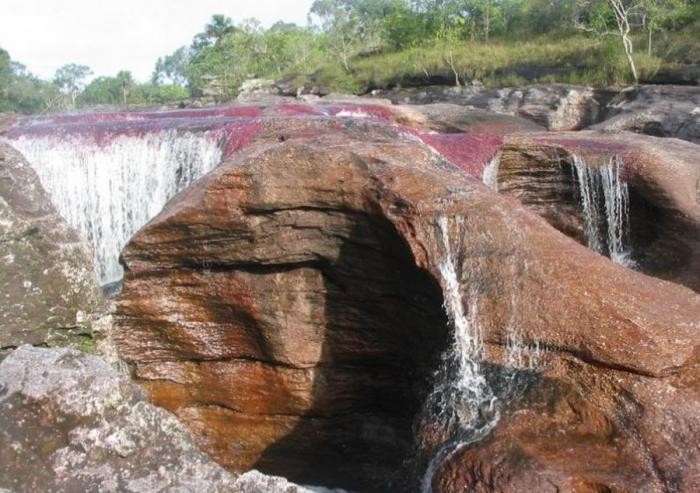 Каньо-Кристалес — самая красивая река на Земле (38 фото)