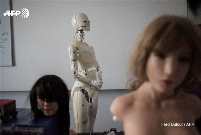 В Китае создали секс-роботов, которые умеют мыть посуду (4 фото)