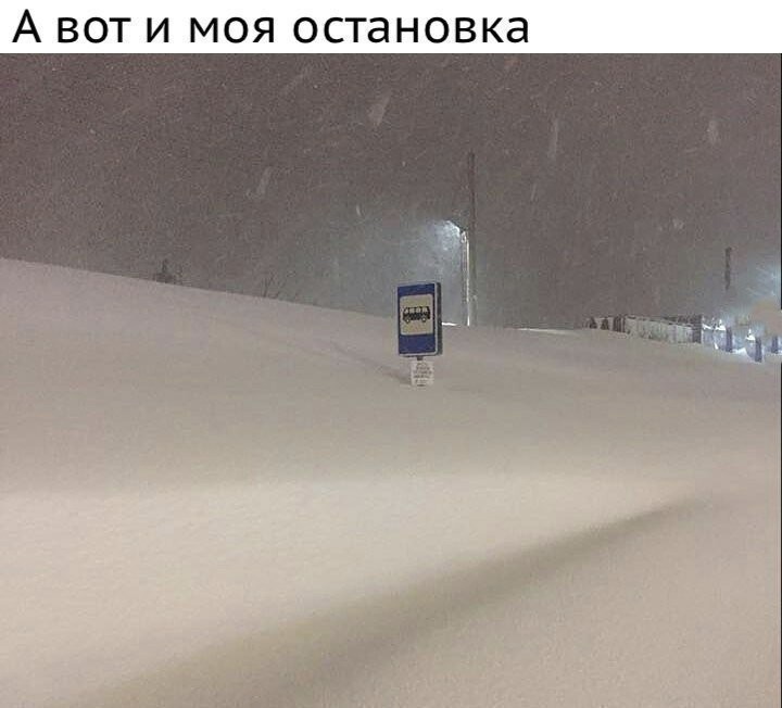 Картинки с надписями для настроения (22 фото)