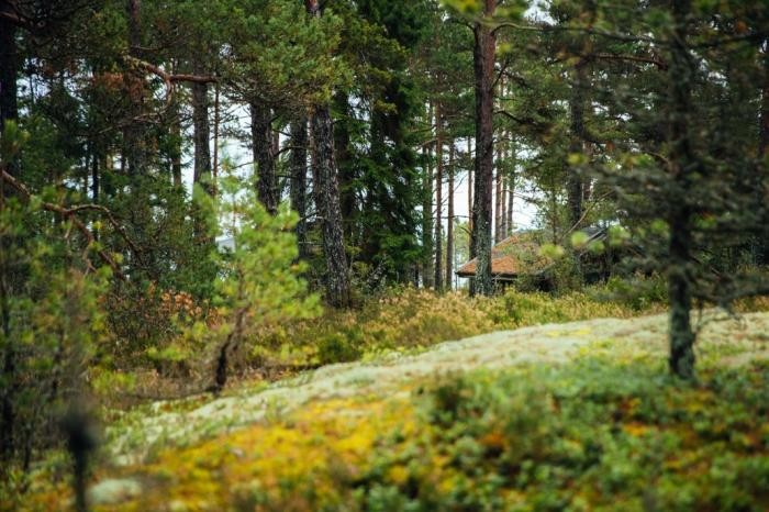 В Финляндии открывают остров для феминисток (9 фото)