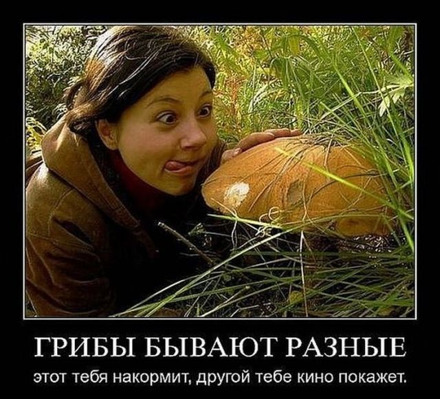 Демотиваторы (30 фото)