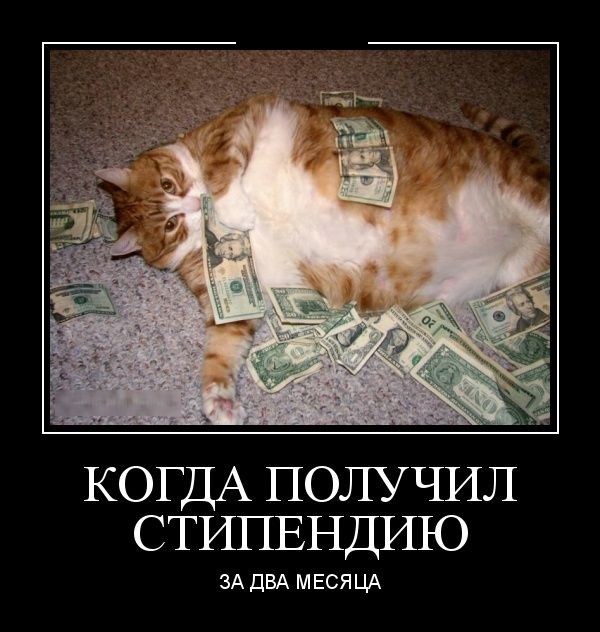 Демотиваторы (30 фото)