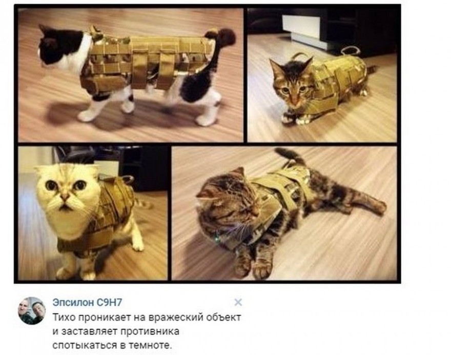 Смешные комментарии из социальных сетей (20 фото)