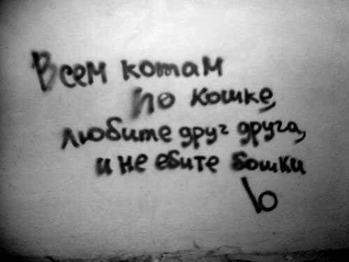 Баяны для вторника	(49 фото)