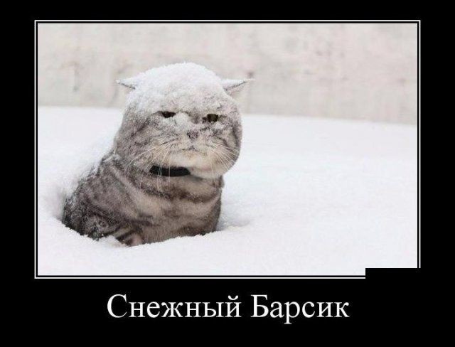 Демотиваторы (30 фото)