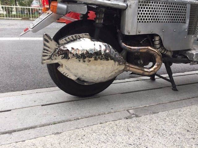 Подборка прикольных фотографий (56 фото)