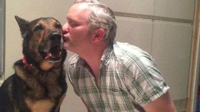 Бесстрашный полицейский пес (7 фото)