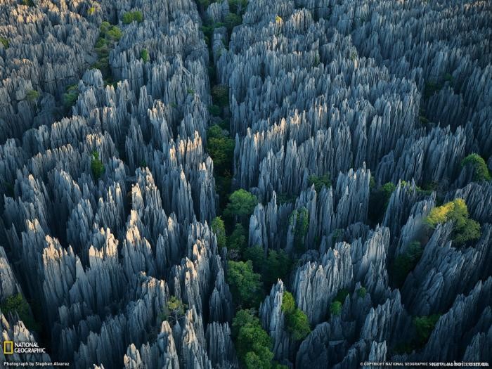 Это стоит увидеть своими глазами! Каменный лес Цинги (27 фото)