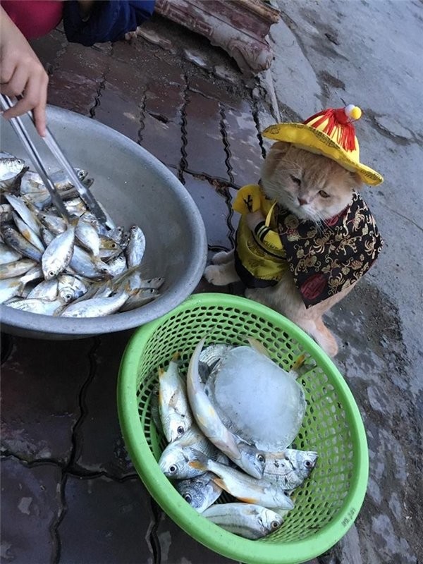 Самый очаровательный продавец рыбы,который покорит ваше сердце (12 фото)