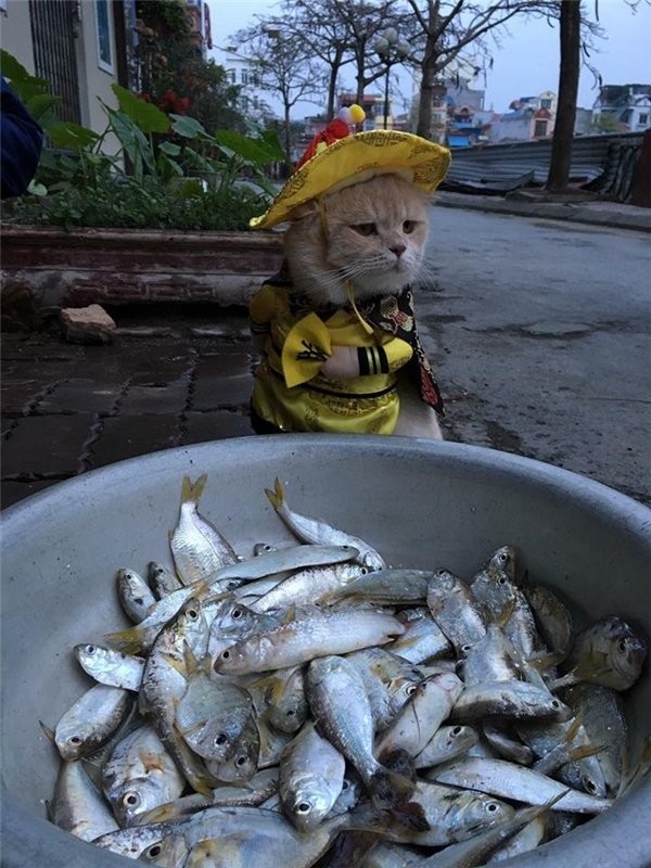Самый очаровательный продавец рыбы,который покорит ваше сердце (12 фото)