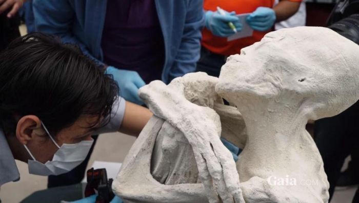 В Перу найдены скелеты пришельцев (8 фото)