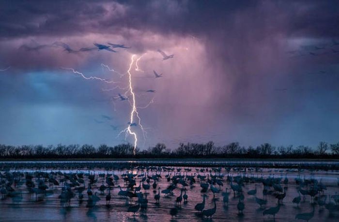 Лучшие снимки из National Geographic за 2016 год (43 фото)