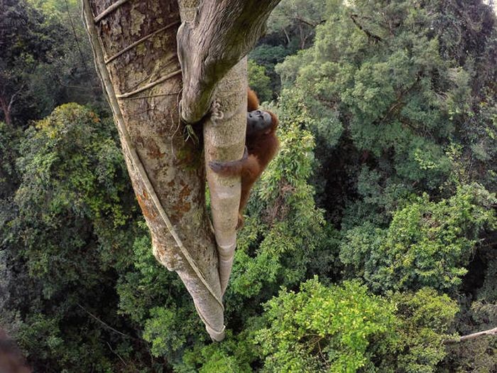 Лучшие снимки из National Geographic за 2016 год (43 фото)