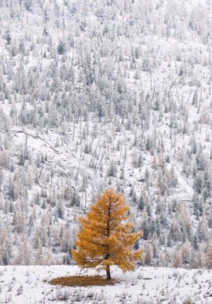 Красавица зима в лучших своих проявлениях (30 фото)