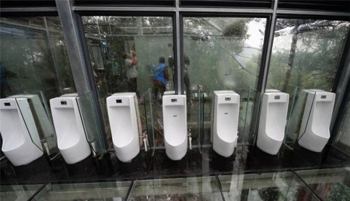 Стеклянные туалеты с прозрачными стенами в парке Китая (9 фото)
