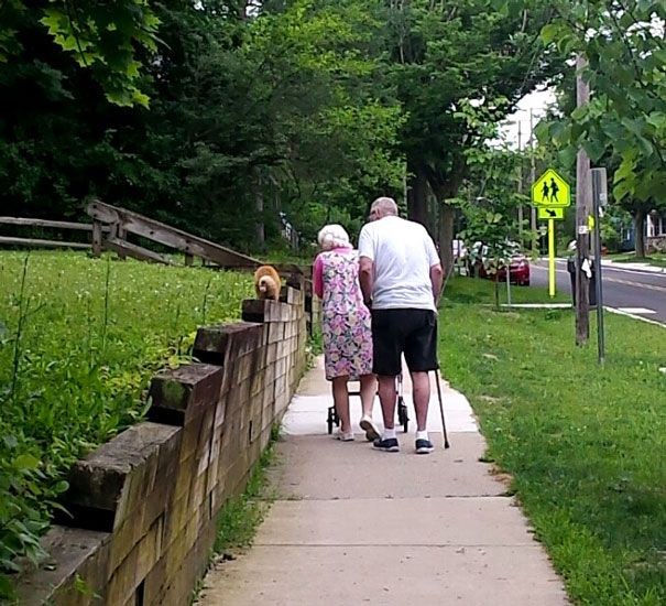 Пенсионеры живут полной жизнью (32 фото)