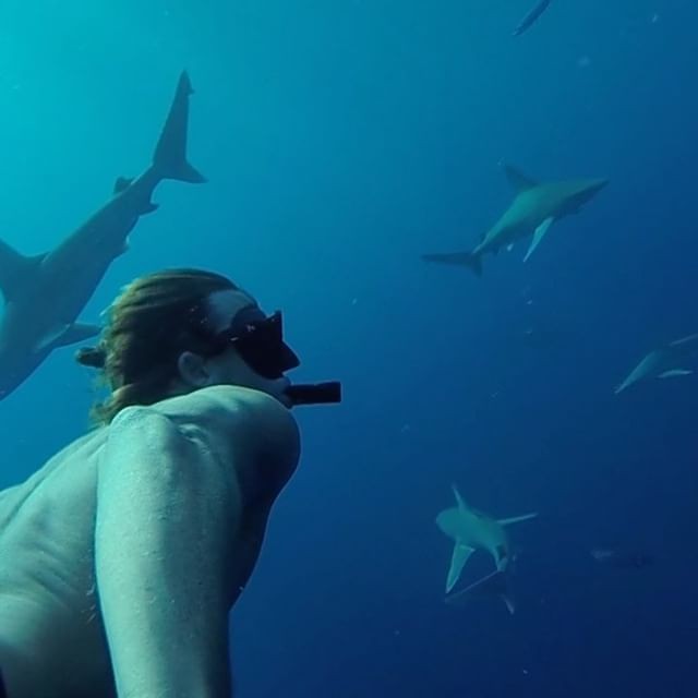 Серфер, лишившийся ноги из-за акулы, стал защитником этих хищниц (13 фото)