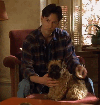 Подборка прикольных гифок