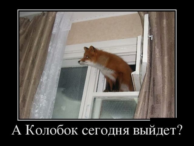 Демотиваторы (30 фото)