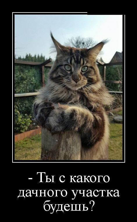 Демотиваторы (30 фото)