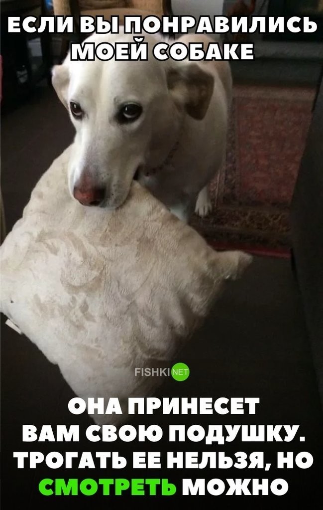 Картинки с надписями для настроения (25 фото)