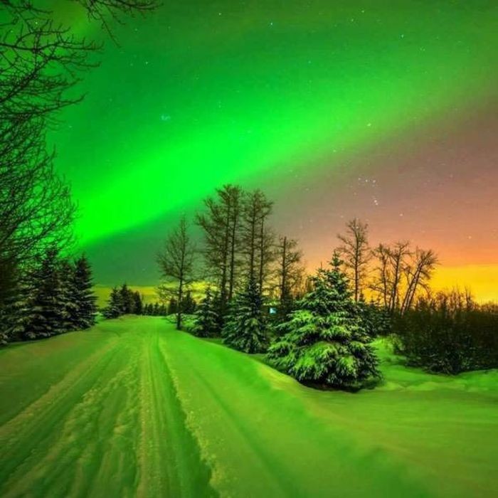 Зрелищные фото, которые не нуждаются в комментариях (20 фото)