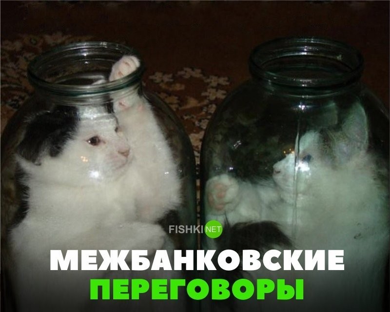 Картинки с надписями для настроения (25 фото)