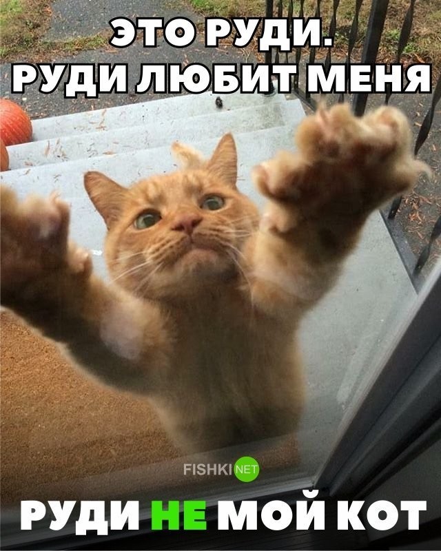 Картинки с надписями для настроения (25 фото)