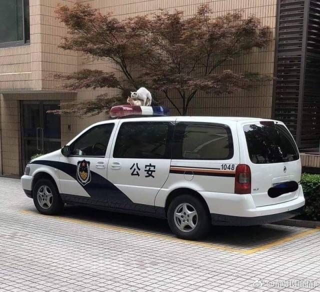 Подборка прикольных фотографий (46 фото)