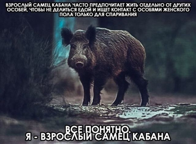 Подборка прикольных фотографий (46 фото)