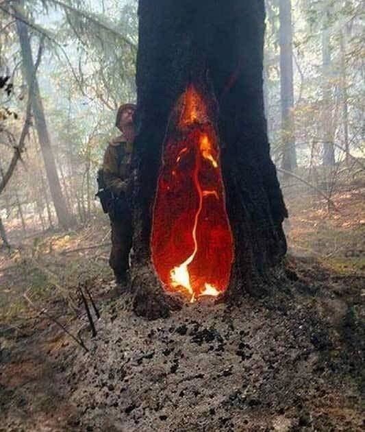 Подборка прикольных фотографий (46 фото)