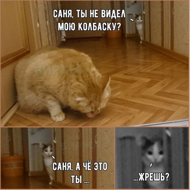 Смешные комиксы (20 фото)