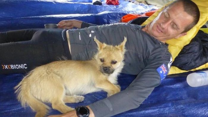 Стокилометровая пробежка с собакой (4 фото)