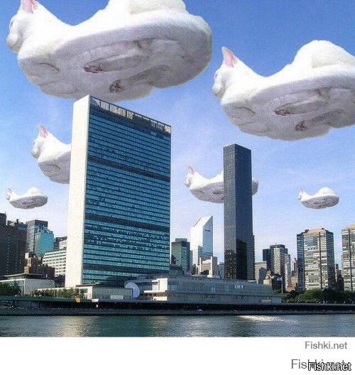 Гигантские кошки в городских ландшафтах (24 фото)