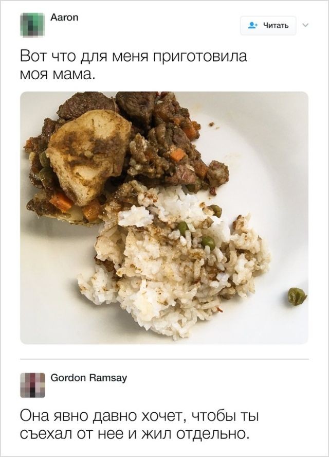 Шеф-повар Гордон Рамзи оценивает блюда своих подписчиков (19 фото)