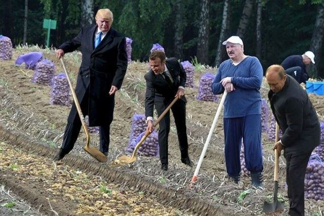 Сажающие дерево Трамп и Макрон стали героями фотожаб (41 фото)