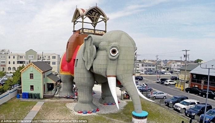 Дом-слон и другие здания в виде животных по всему миру (14 фото)