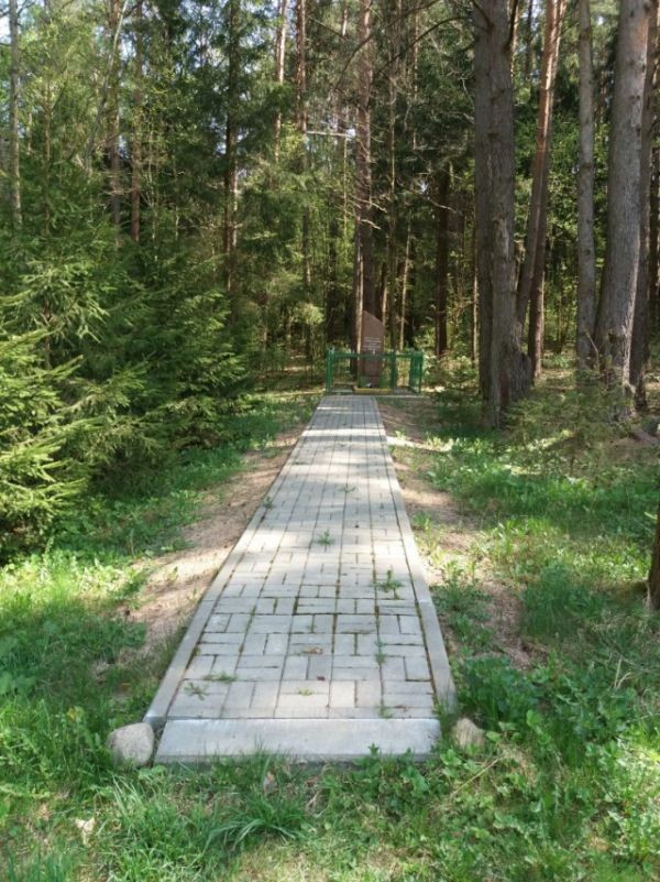 Братская могила героев ВОВ в белорусском лесу (3 фото)