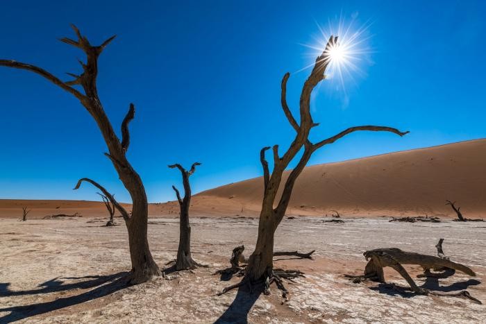 Древнейшая пустыня мира (10 фото)