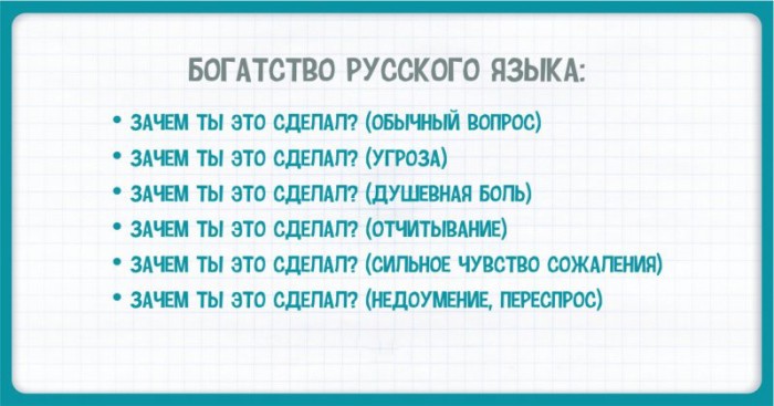 15 изумительных особенностей русского языка (15 фото)