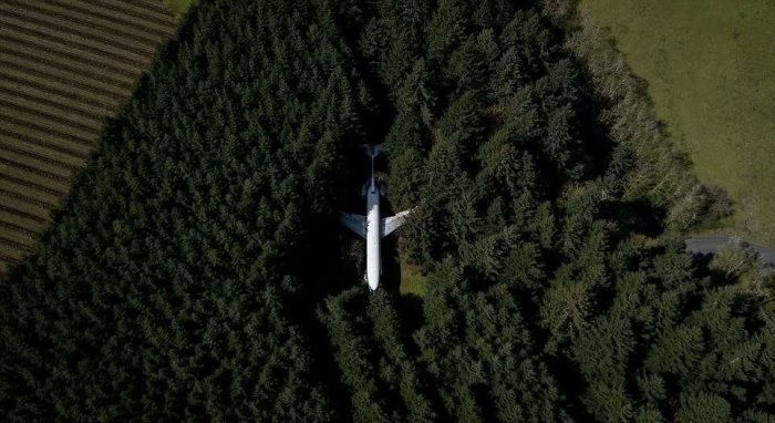 Американец 15 лет живет в самолете посреди леса (7 фото)